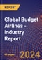 Global Budget Airlines - Industry Report - Product Image