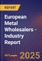 European Metal Wholesalers - Industry Report - Product Image