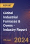 Global Industrial Furnaces & Ovens - Industry Report - Product Image