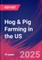 Hog & Pig Farming in the US - Market Research Report 2015-2030 - Product Thumbnail Image