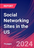 Social Networking Sites in the US - Industry Market Research Report- Product Image