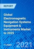 Global Electromagnetic Navigation Systems Equipment & Instruments Market to 2025- Product Image
