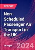 Non-Scheduled Passenger Air Transport in the UK - Industry Market Research Report- Product Image