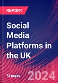 Social Media Platforms in the UK - Industry Market Research Report- Product Image