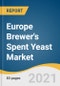 Europe Brewer's Spent Yeast Market Size, Share & Trends Analysis Report by Type (Liquid, Dry), by Application (Feed Supplement, Food Supplement), by Region, and Segment Forecasts, 2021 - 2028 - Product Thumbnail Image