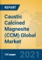 Caustic Calcined Magnesite (CCM) Global Market Insights 2021, Analysis and Forecast to 2026, by Manufacturers, Regions, Technology, Application - Product Thumbnail Image
