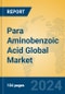 Para Aminobenzoic Acid Global Market Insights 2024, Analysis and Forecast to 2029, by Manufacturers, Regions, Technology, Application - Product Thumbnail Image