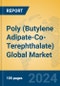 Poly (Butylene Adipate-Co-Terephthalate) Global Market Insights 2024, Analysis and Forecast to 2029, by Manufacturers, Regions, Technology, Application - Product Image