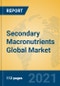 Secondary Macronutrients Global Market Insights 2021, Analysis and Forecast to 2026, by Manufacturers, Regions, Technology, Application, Product Type - Product Thumbnail Image