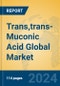 Trans,trans-Muconic Acid Global Market Insights 2024, Analysis and Forecast to 2029, by Manufacturers, Regions, Technology, Application - Product Image