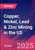 Copper, Nickel, Lead & Zinc Mining in the US - Industry Market Research Report- Product Image