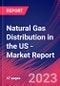Natural Gas Distribution in the US - Industry Market Research Report - Product Image