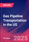 Gas Pipeline Transportation in the US - Market Size, Industry Analysis, Trends and Forecasts (2024-2029) - Product Image