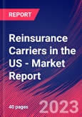 Reinsurance Carriers in the US - Industry Market Research Report- Product Image