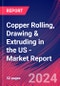 Copper Rolling, Drawing & Extruding in the US - Industry Market Research Report - Product Thumbnail Image