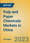 Pulp and Paper Chemicals Markets in China- Product Image