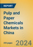 Pulp and Paper Chemicals Markets in China- Product Image