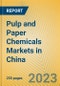 Pulp and Paper Chemicals Markets in China - Product Image