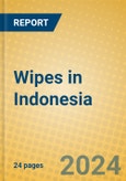 Wipes in Indonesia- Product Image