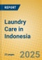 Laundry Care in Indonesia - Product Thumbnail Image