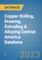 Copper Rolling, Drawing, Extruding & Alloying Central America Database - Product Image