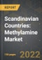 Scandinavian Countries: Methylamine Market and the Impact of COVID-19 in the Medium Term - Product Thumbnail Image