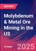 Molybdenum & Metal Ore Mining in the US - Industry Market Research Report- Product Image