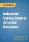 Industrial Valves Central America Database - Product Image