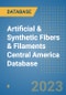 Artificial & Synthetic Fibers & Filaments Central America Database - Product Thumbnail Image