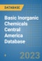 Basic Inorganic Chemicals Central America Database - Product Thumbnail Image