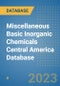 Miscellaneous Basic Inorganic Chemicals Central America Database - Product Thumbnail Image