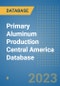 Primary Aluminum Production Central America Database - Product Thumbnail Image