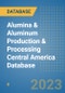 Alumina & Aluminum Production & Processing Central America Database - Product Thumbnail Image