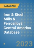 Iron & Steel Mills & Ferroalloys Central America Database- Product Image