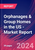 Orphanages & Group Homes in the US - Industry Market Research Report- Product Image
