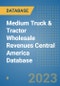Medium Truck & Tractor Wholesale Revenues Central America Database - Product Thumbnail Image