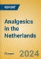 Analgesics in the Netherlands - Product Thumbnail Image