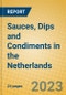 Sauces, Dips and Condiments in the Netherlands - Product Image