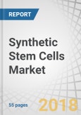 Synthetic Stem Cells Market by Application, Region - Global Forecast to 2028- Product Image