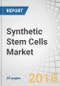 Synthetic Stem Cells Market by Application, Region - Global Forecast to 2028 - Product Thumbnail Image