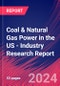 Coal & Natural Gas Power in the US - Industry Research Report - Product Thumbnail Image