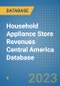 Household Appliance Store Revenues Central America Database - Product Thumbnail Image