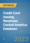 Credit Card Issuing Revenues Central America Database - Product Thumbnail Image