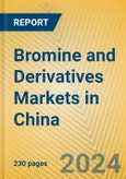 Bromine and Derivatives Markets in China- Product Image