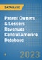 Patent Owners & Lessors Revenues Central America Database - Product Thumbnail Image