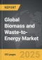 Biomass and Waste-to-Energy - Global Strategic Business Report - Product Thumbnail Image