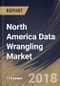 North America Data Wrangling Market Analysis (2017-2023) - Product Thumbnail Image