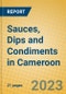 Sauces, Dips and Condiments in Cameroon - Product Image