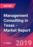 Management Consulting in Texas - Industry Market Research Report- Product Image