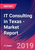 IT Consulting in Texas - Industry Market Research Report- Product Image